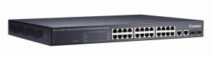 GV-POE2401